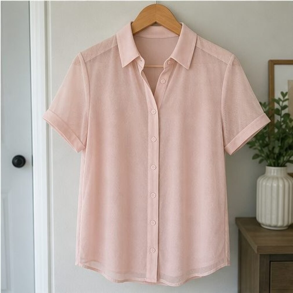 Blush Ruffle Blouse